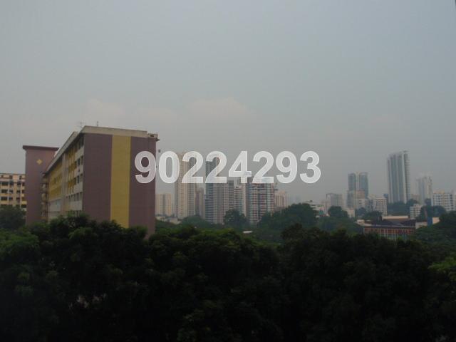 Trellis Towers (D12), Condominium #144893232
